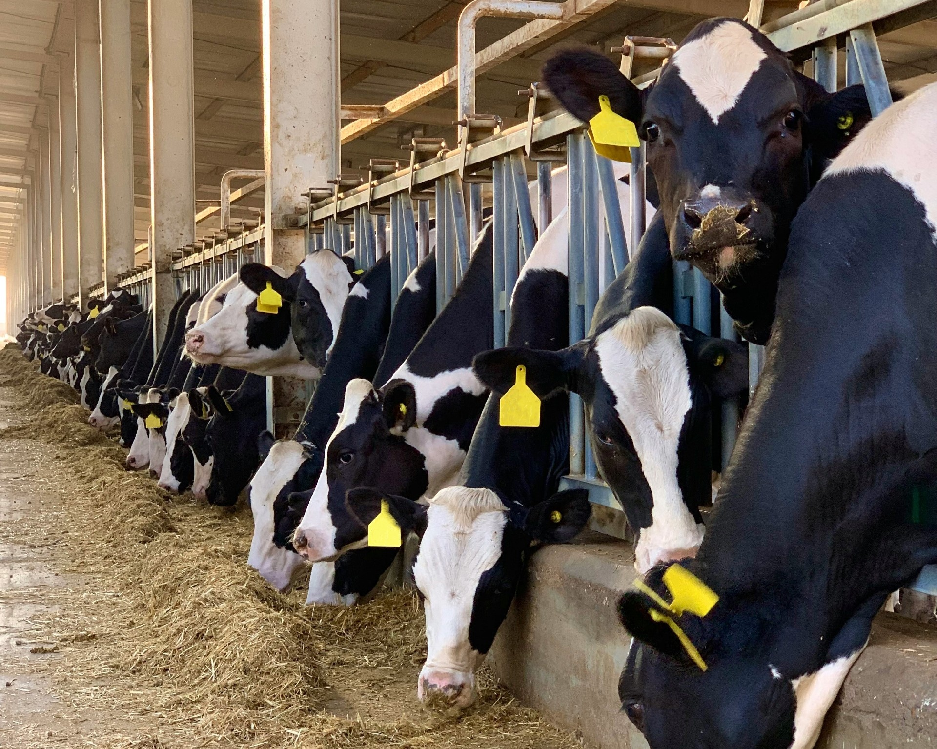 1713850355193871.jpg 10.jpg